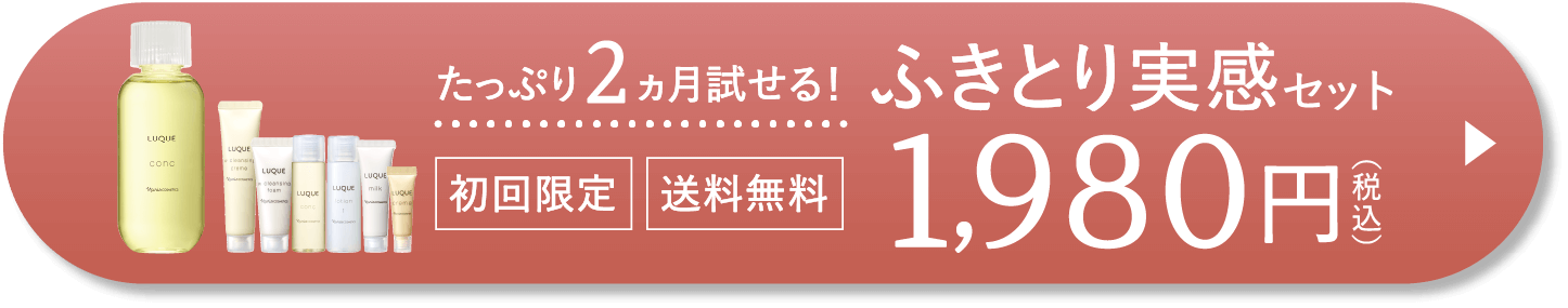 ふきとり実感セット